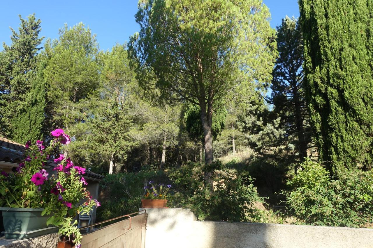 Gite Du Fenouil Lezignan-Corbieres Bagian luar foto